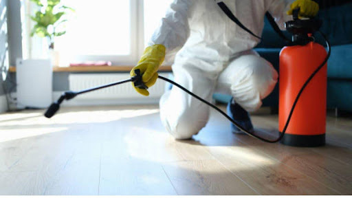 Debunk the myths and find the truth about dry ice blasting for mold removal—effective, safe, eco-friendly, and proven for small to large-scale infestations.